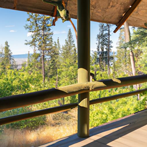 Transform your property into a wildlife-friendly retreat with a bear and breakfast switch.